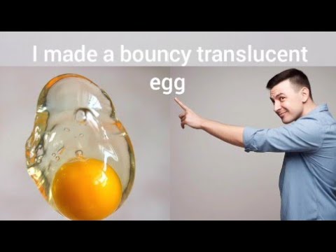Egg-cellent Reaction! Vinegar vs Eggshell