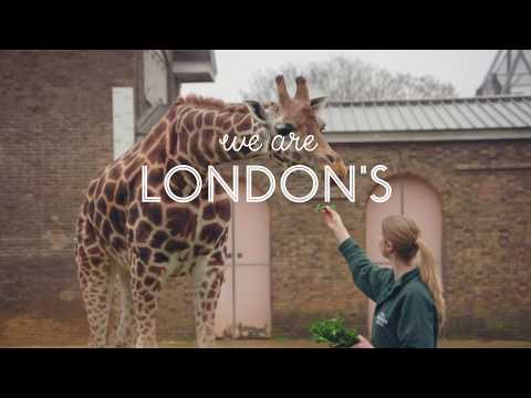 We are London: ZSL London Zoo