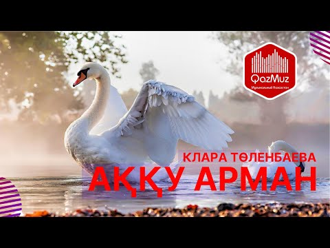Аққу арман - Клара Төленбаева |Қазақша караоке казакша|
