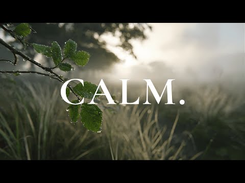 Relaxing Piano for Stress Relief, Work and Study