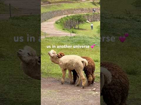 Send this to your valentine ❤️