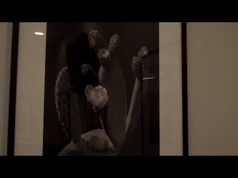 My 28 photographs at Cheung Hing Restaurant in South San Francisco