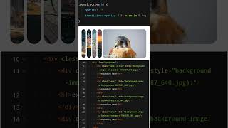 how to make Expanding card using html & css | @codebrowser  #shorts  #cssanimation #csscards