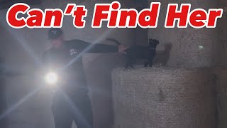 She’s Gone Missing