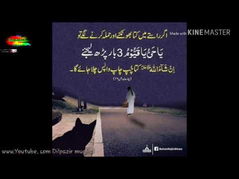 صدقہ جاریہ کیا ہے    pakistan media    #Dilpazir mughal #