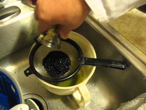 Balsamic Pearls, II