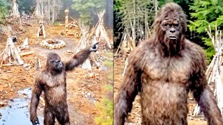 Drone Footage Exposes Massive Bigfoot Village In National Forest - Sasquatch Story