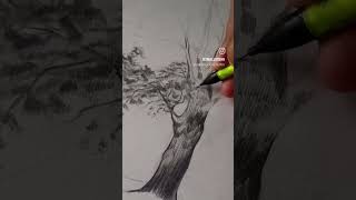 My journey to tree mastery begins 🌲#trees #treedrawing #treedrawingeasy #tree