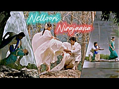 Nelloori Nirajaana💞love status 💘|#actionkingarjun #manishakoirala #telugulovewhatsappstatus