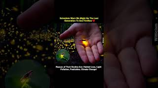 #sapphire #youtubeshorts #viralvideo #trending #music #facts #funlearning #song #sciencestory