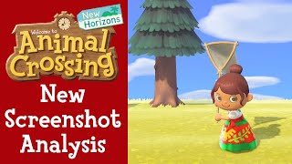 Animal Crossing New Horizons New Screenshot Analysis