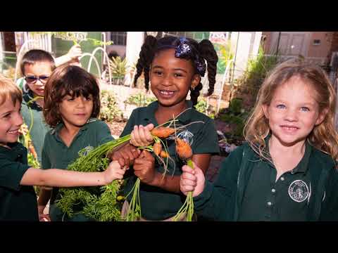 Pine Crest School Student Acceptance Video 2018-19