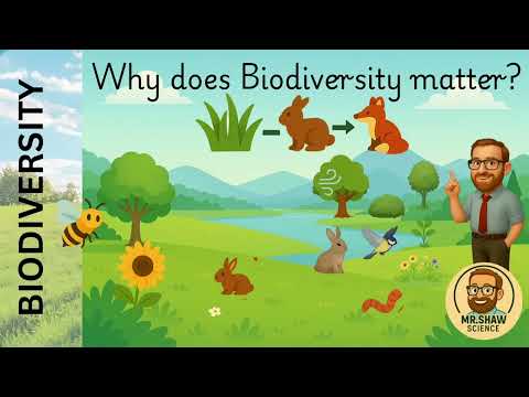 Why is biodiversity so important?