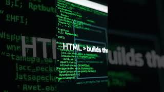 HTML Basics 🖥️📄 | Learn How HTML Builds the Structure of Web Pages (Beginner Guide)