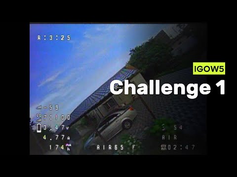 IGOW5 Challenge1