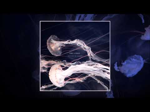 Purl & Sinius - Not of This World