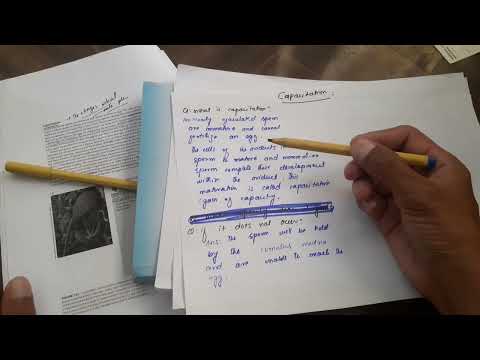 What is Capacitation? If this doesn't occur what will happen? Development Bio | Urdu /Hindi