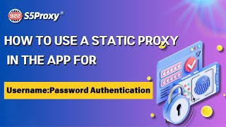 How to use a static proxy in the app for username:password authentication