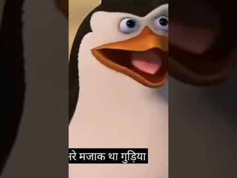 amazing cartoon hindi dubbed