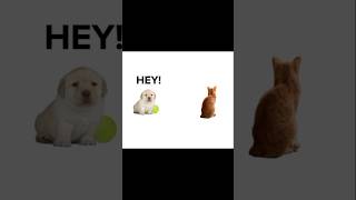 Justa fork full of a smol meme