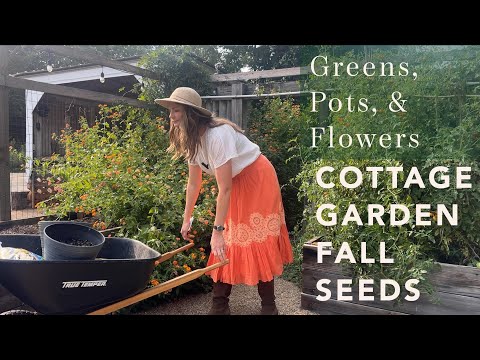 Greens, Pots, & Flowers | Fall Seeds for the Cottage Garden