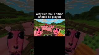Minecraft Meme