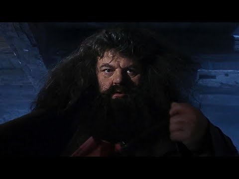 A visit from Rubeus Hagrid | Harry Potter and the Philosopher's Stone