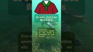 Learn Collar Types in #English #englishunfolded