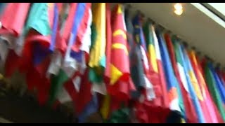 About the IMF