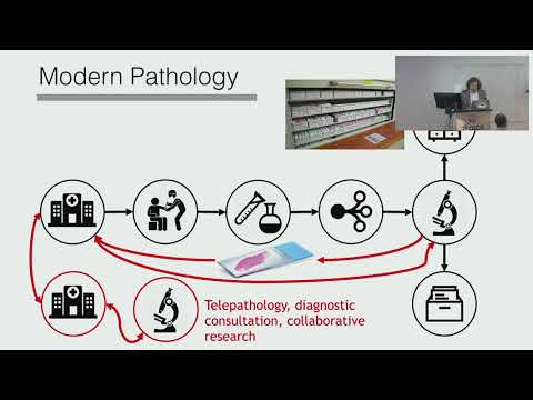 Introduction to Digital Pathology and AI Algorithms