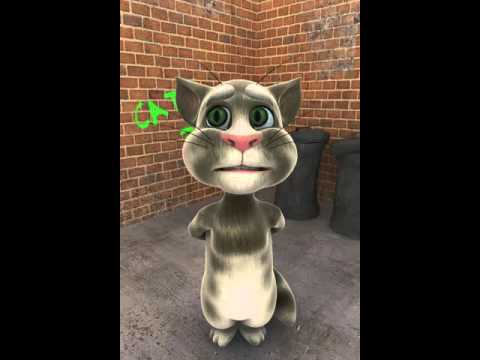 A Cat Singing "stronger" Of Kelly Clarkson