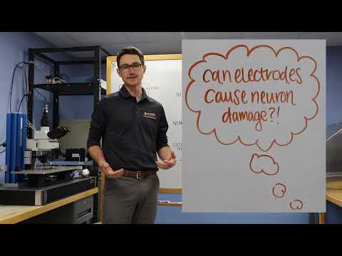 Thursday Brain Bytes Episode Four: Can Electrodes Damage Neurons?