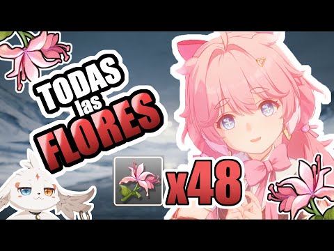 Flores de Pecok / Pecok Flowers - Ruta de Farmeo Wuthering Waves [Jiyan, Encore, Rover]