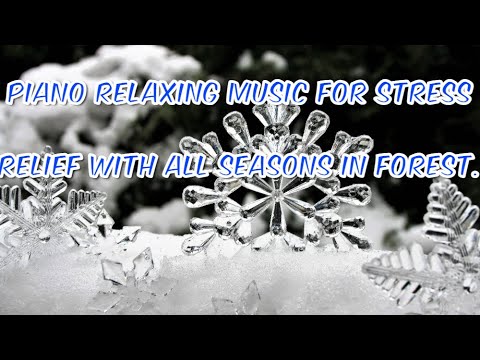 Piano Relaxing music for stress relief with all seasons in forest.