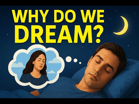 Why We Dream: The Science of Sleep