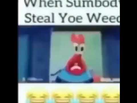 When Sumbody Steal Yoe Weed 😂😂😂😂