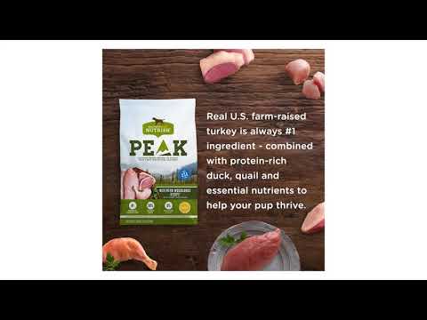 Best Dry Dog Food Review 2018 + 15% Off Coupon | Rachael Ray Nutrish