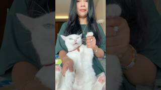 #catlovers