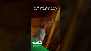 “Mold remediation doesn’t work… I can fix it myself.”