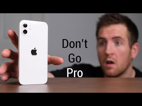 iPhone 12 Buyers Guide - Don't Make A Mistake!!! Which One Should YOU Buy?