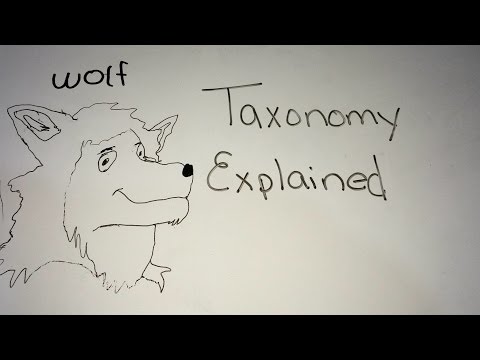 Taxonomy Explained