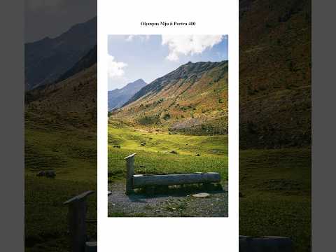 Shooting Portra in the Swiss Alps