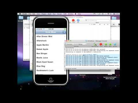 HD Iphone xcode database Tutorial: Make button saving data entered; Source Code, PLISTS(4 of 5)