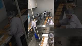 Bread Bakery Production Line