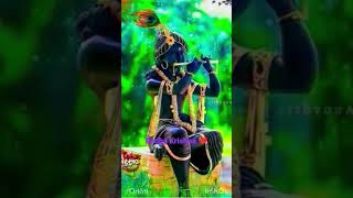 man mohan ma saja bihare,# Radha Krishna status 💕