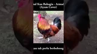 armada _ asal kau bahagia (cover)