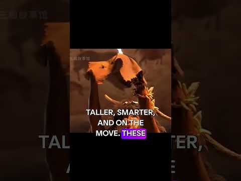 Evolution of Humans #shorts