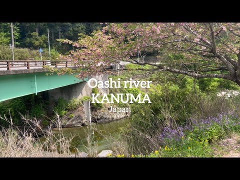 EXPLORING THE RIVER SIDE OF JAPAN KANUMA| Travel vlog #japanvlog #japan #kanuma #japantravel
