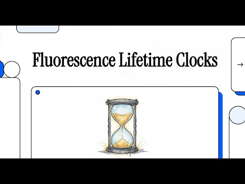 A Real-Time Ageng Clock in Living Cells and Animals