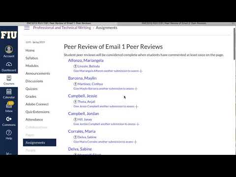 Assigning Peer Reviews for Instructors